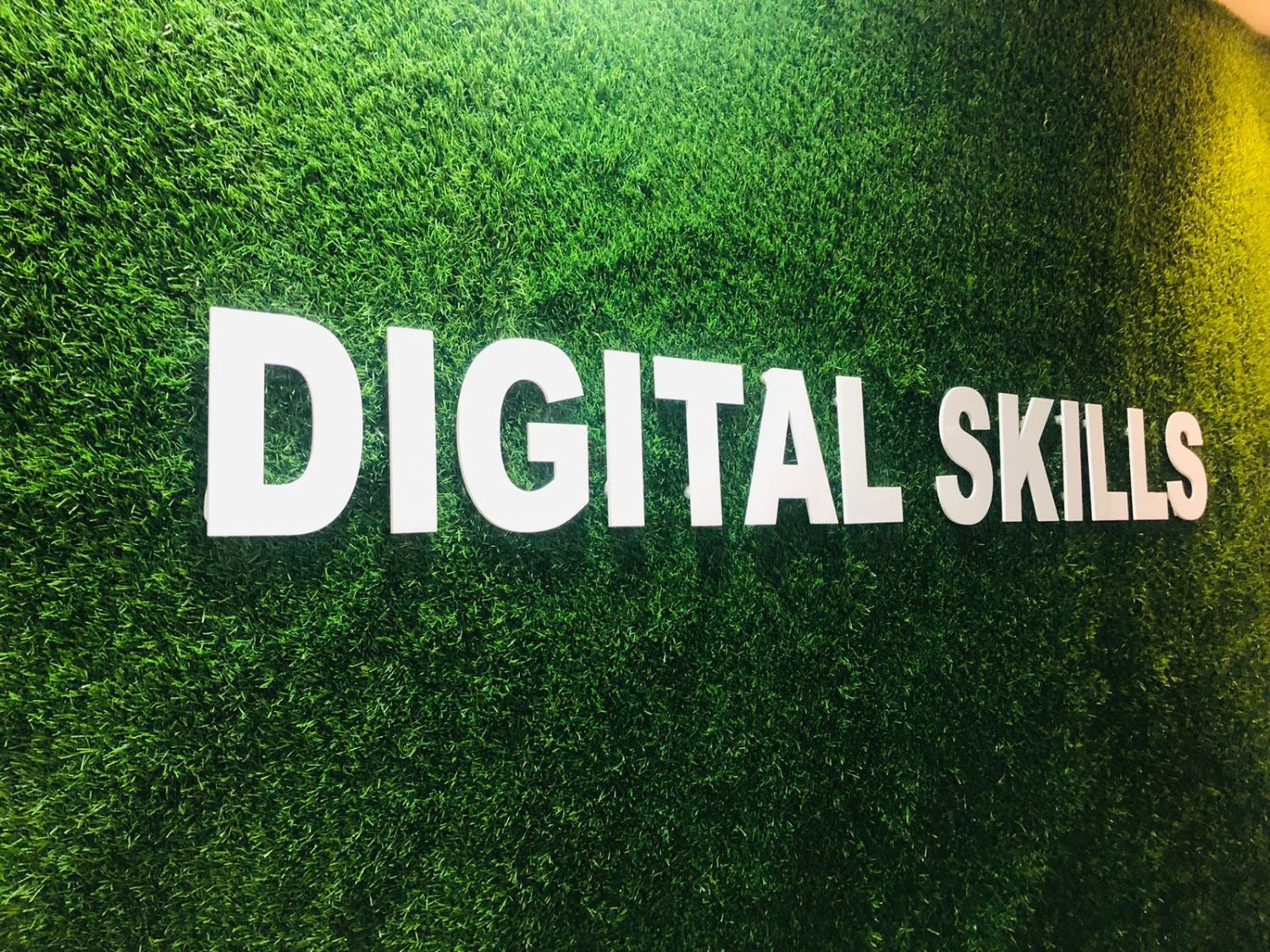 Digital Skills green wall